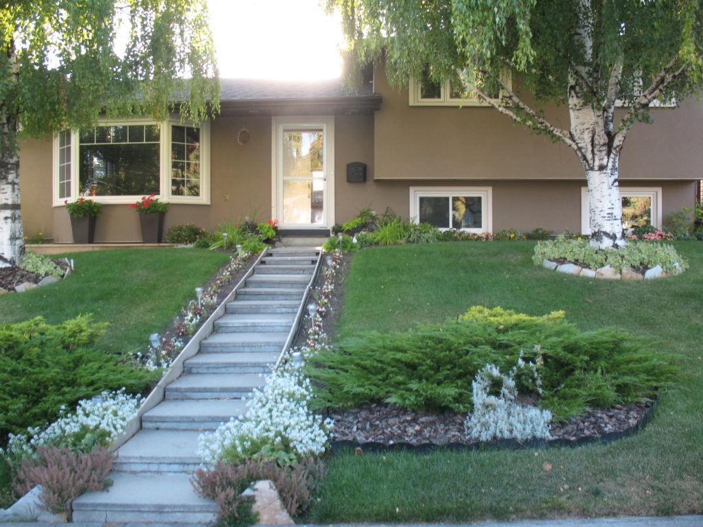Front yard