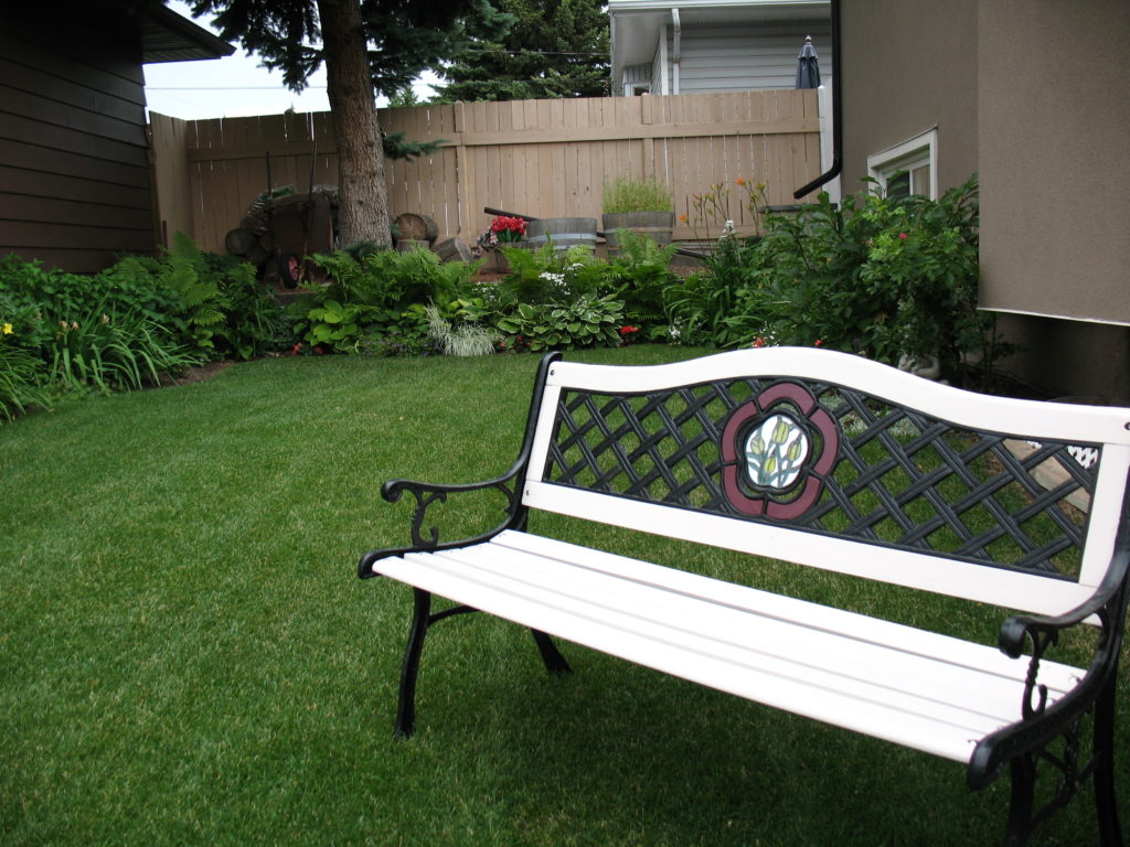 Backyard Bench