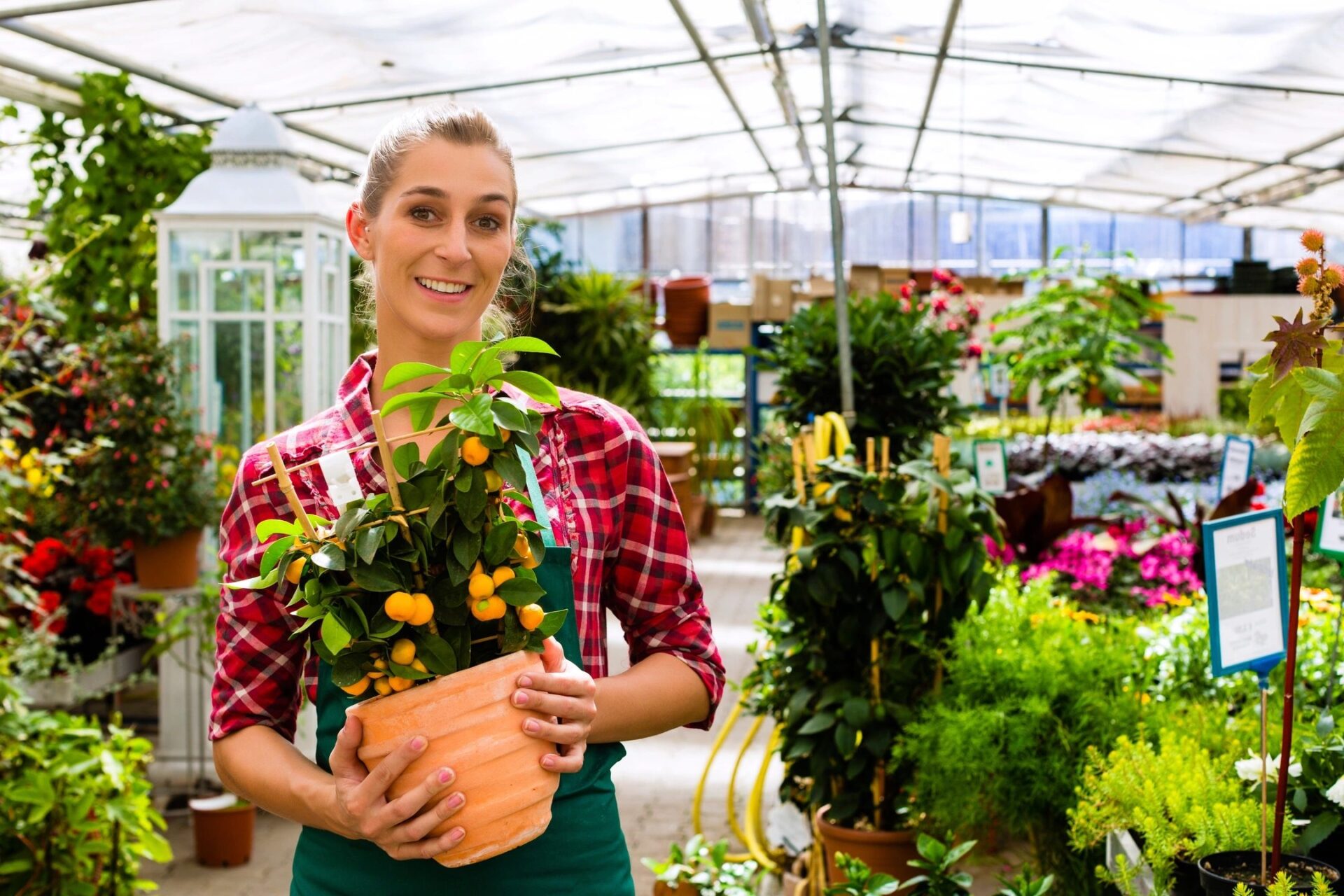 Garden centre